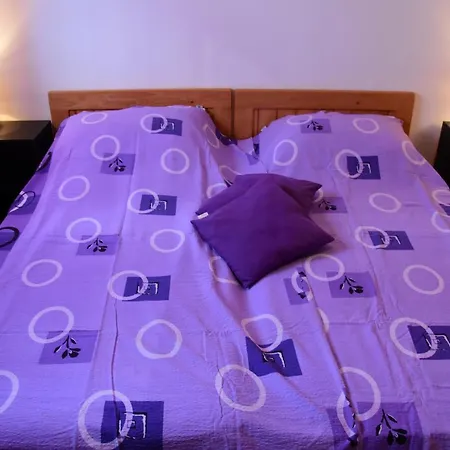 Apartment Zana *